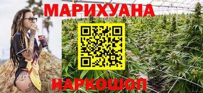 индика Лесосибирск