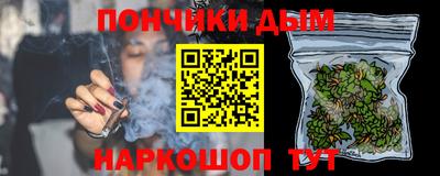 индика Лесосибирск
