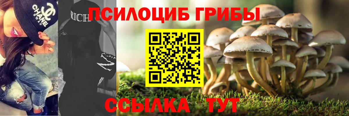 Галлюциногенные грибы GOLDEN TEACHER Курганинск