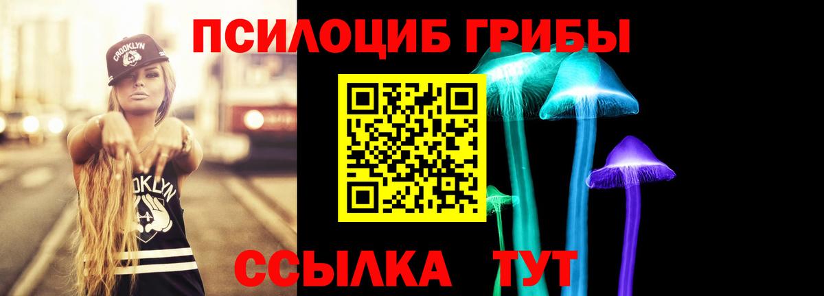 продажа наркотиков  Вход с VPN  Курганинск  Галлюциногенные грибы Psilocybine cubensis  Галлюциногенные грибы прущие грибы 
